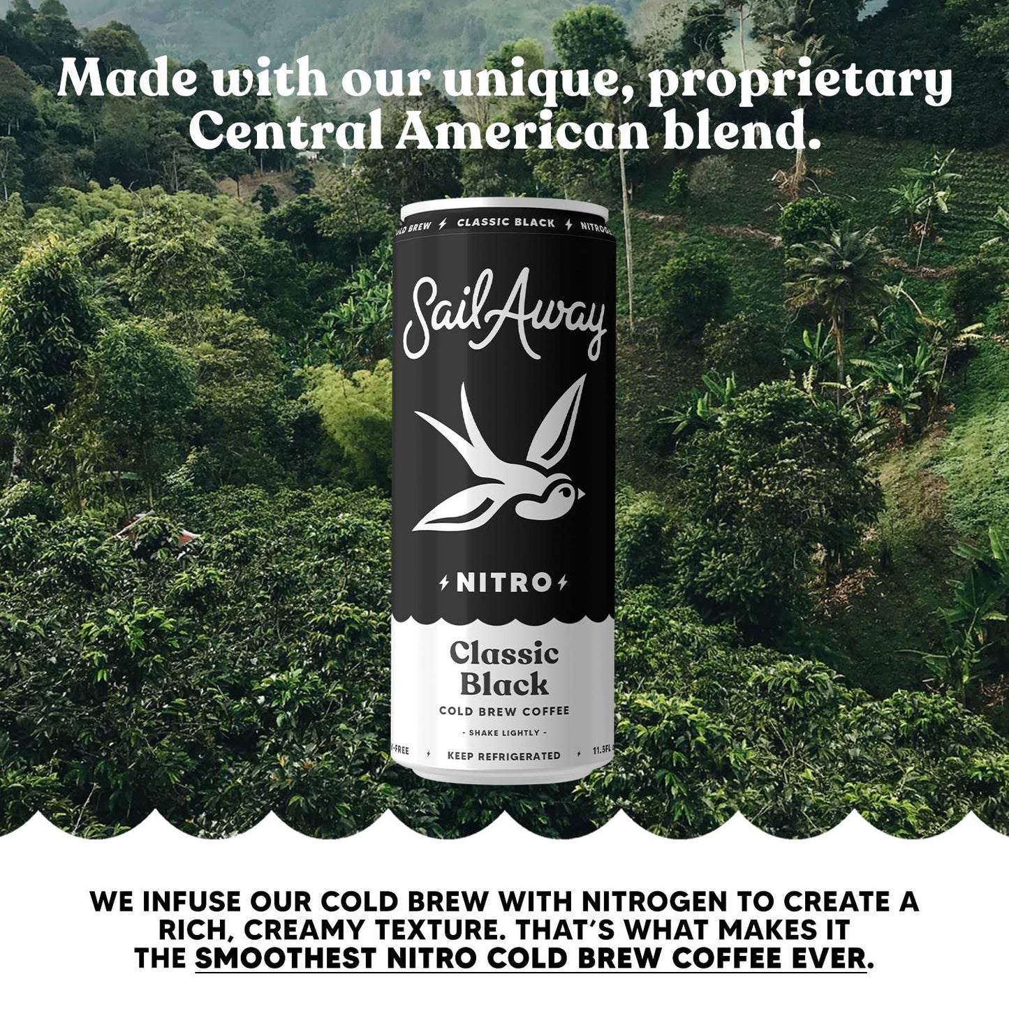 Cold Brew Coffee -Classic Black: 12