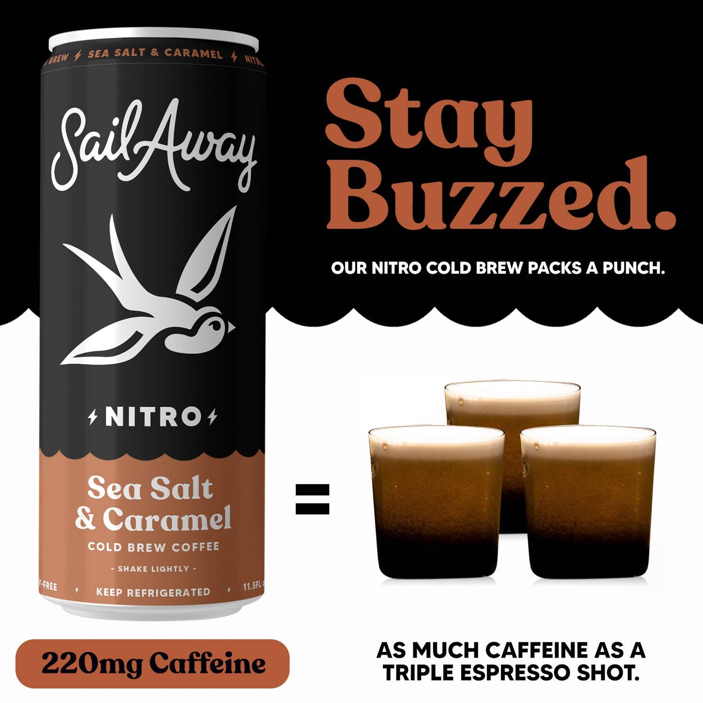 Cold Brew Coffee - Sea Salt & Caramel: 12