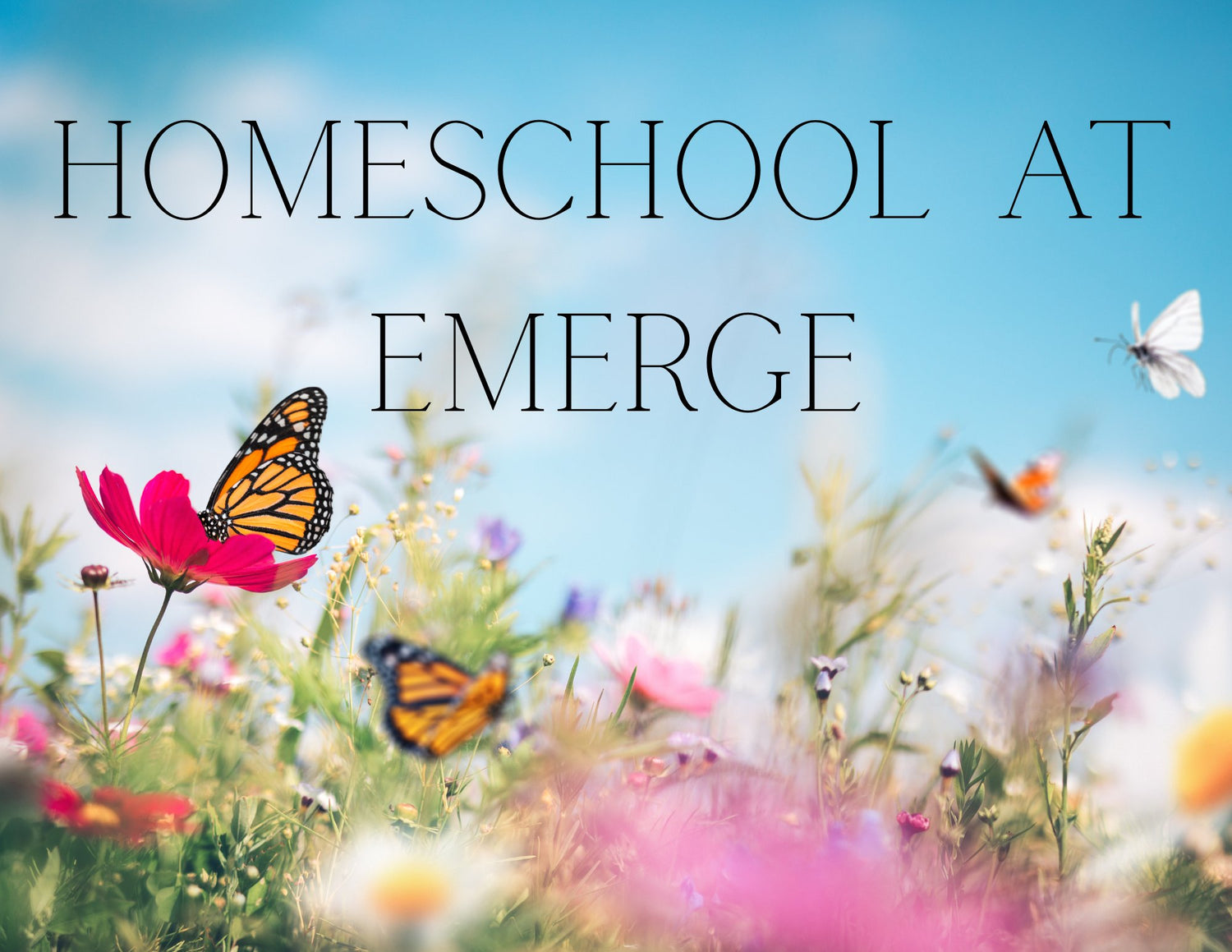 Homeschool Classes at Emerge