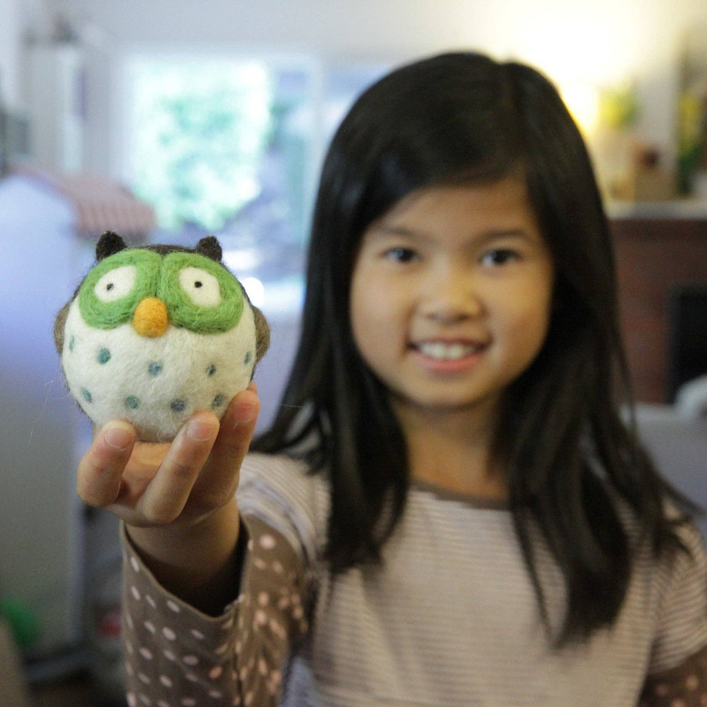 Needle Felting Owl Kit