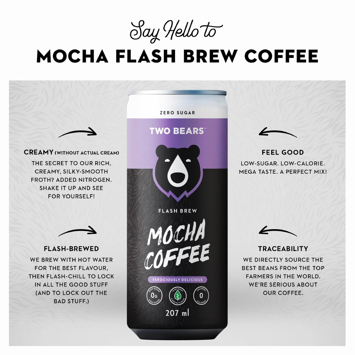 Mocha Flash Brew Coffee (207 ml)