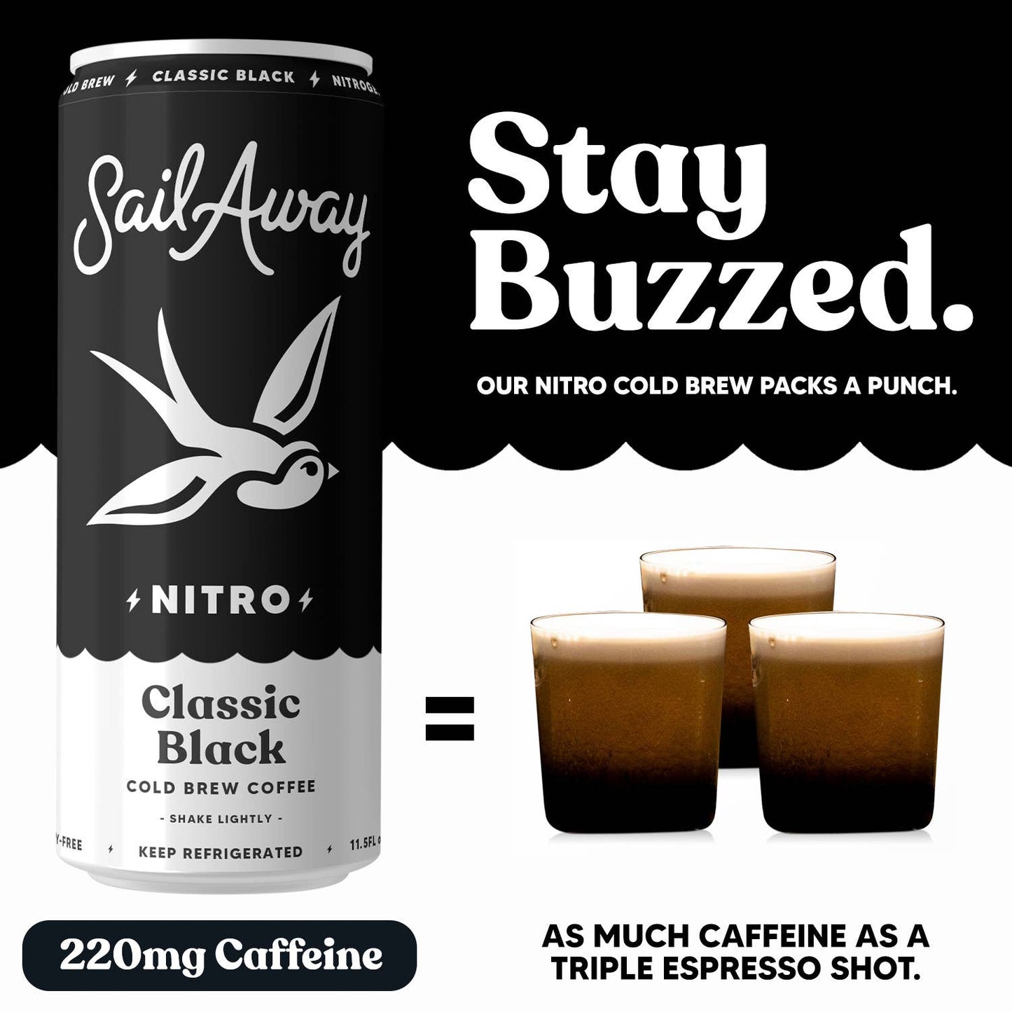 Cold Brew Coffee -Classic Black: 12
