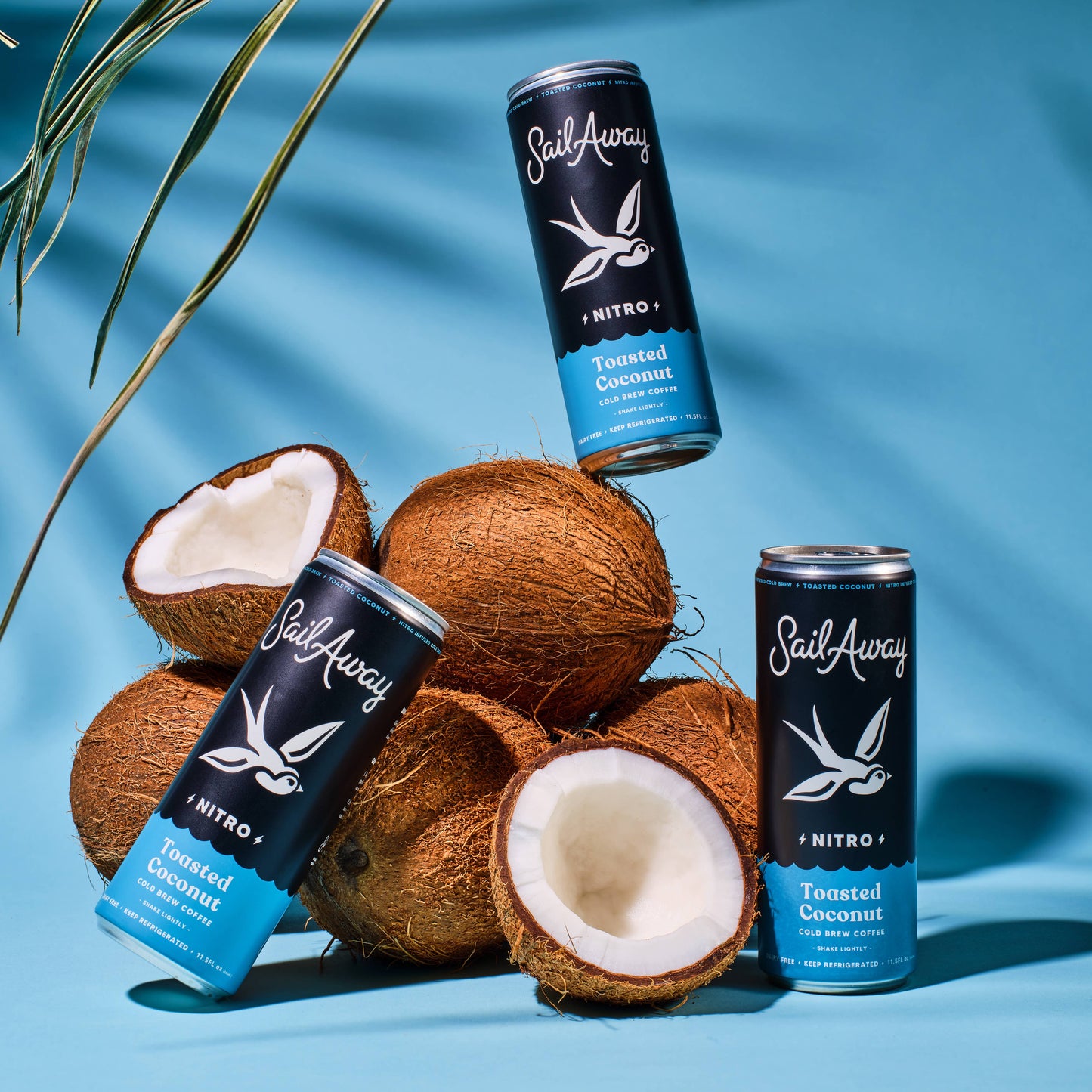 Cold Brew Coffee- Toasted Coconut: 12
