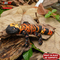 Paintable Gila Monster