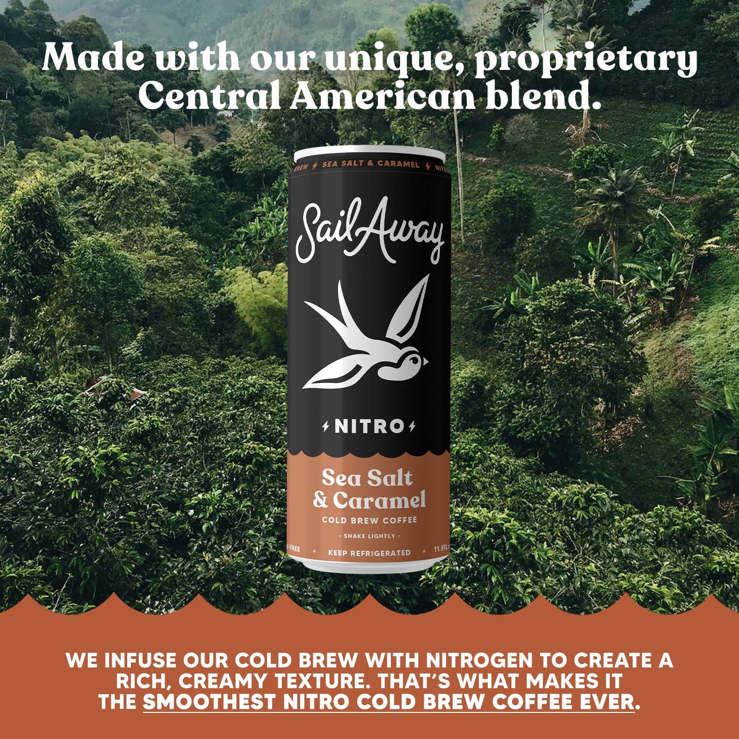 Cold Brew Coffee - Sea Salt & Caramel: 12