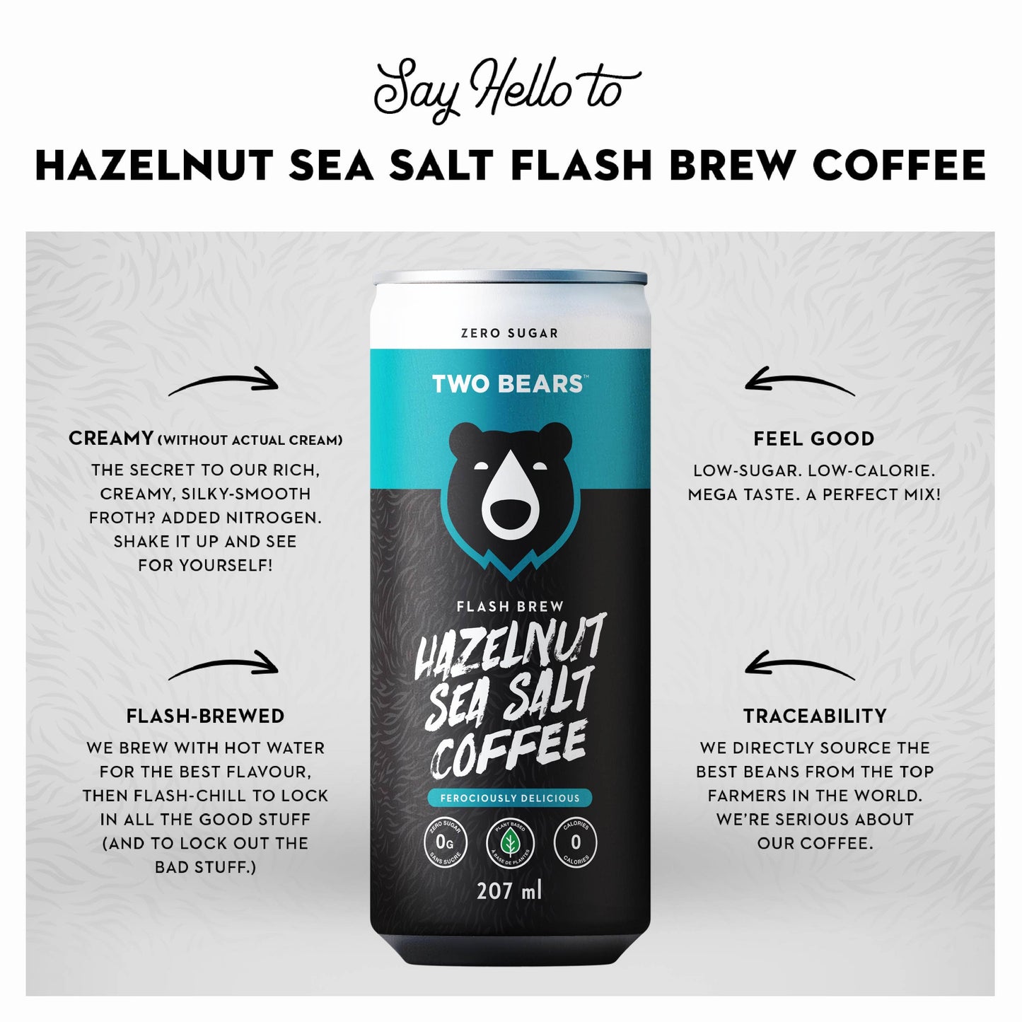 Hazelnut Sea Salt Flash Brew Coffee (207 ml)